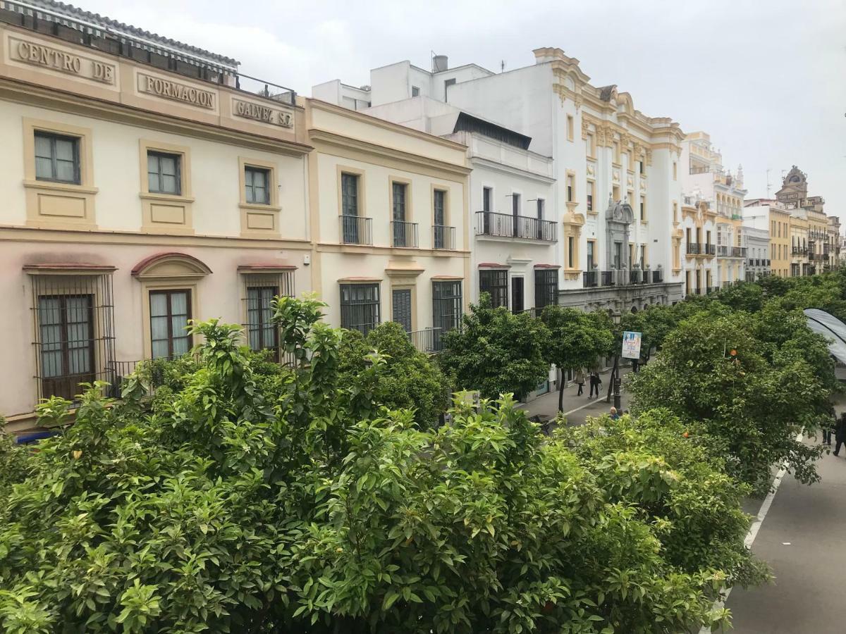 Apartamento Centro Jerez Lejlighed Jerez de la Frontera Eksteriør billede